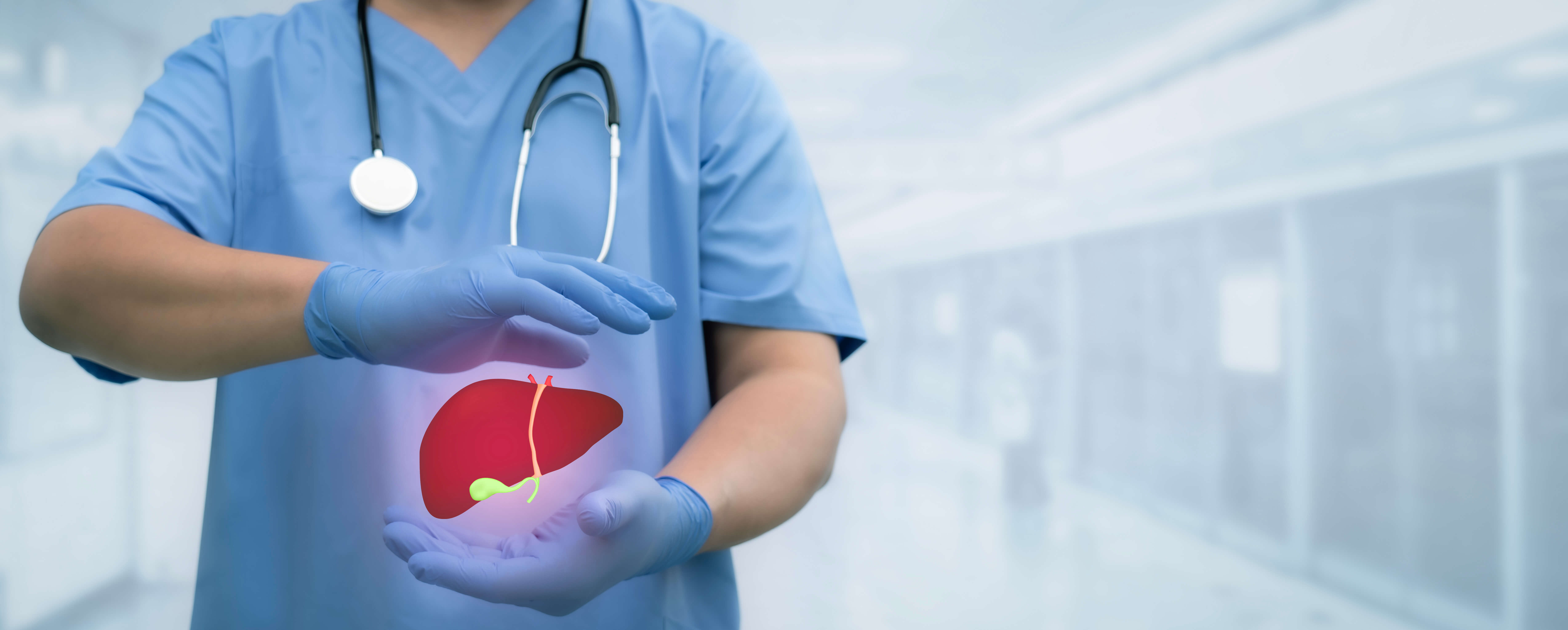 Medical worker hand protect liver and gallbladder anatomy between two palms symbolizing organ donation.