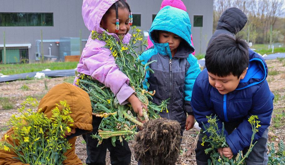 Preschool learning farm tour.