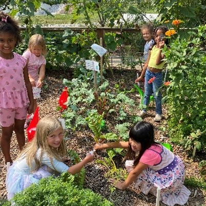 Mother Hubbard’s Cupboard cooking programs focus on cooking whole food from scratch in budget-friendly ways.