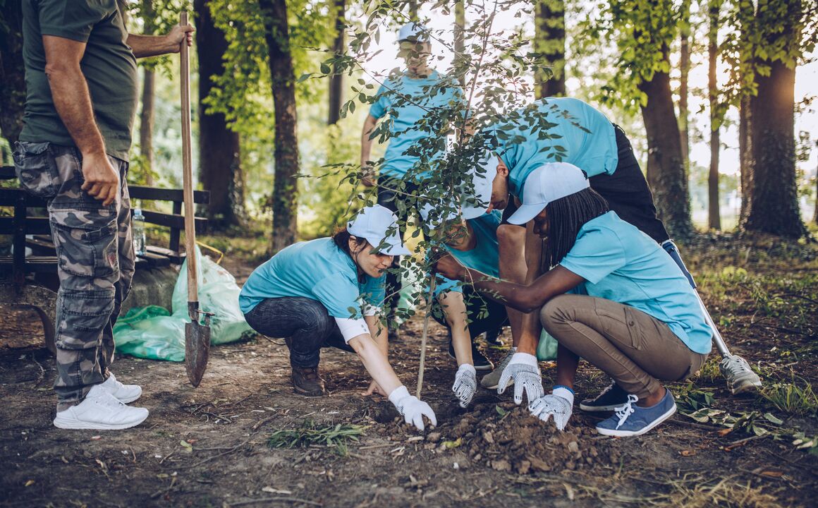 Volunteers planting a tree in a park