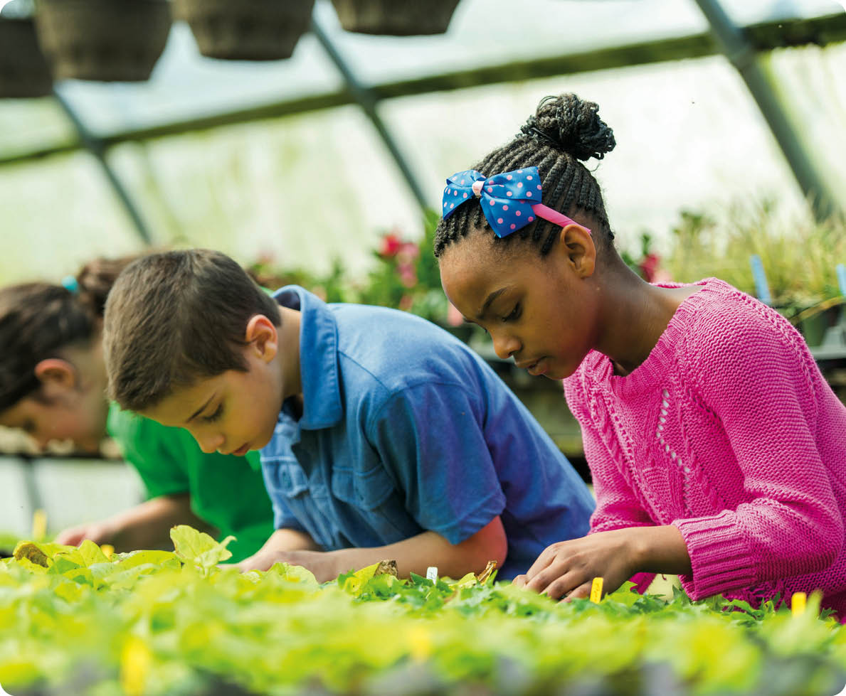 Kids learning about plants at a greenhouse 