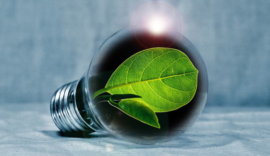 Image of a lightbulb with a green leaf inside