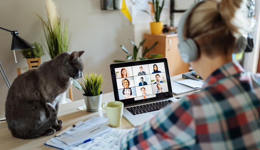 Image of a woman working remotely while her cat watches her video conference